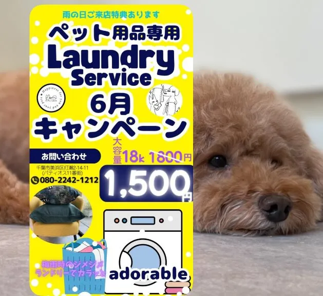 店舗限定［6月キャンペーン］コインランドリー