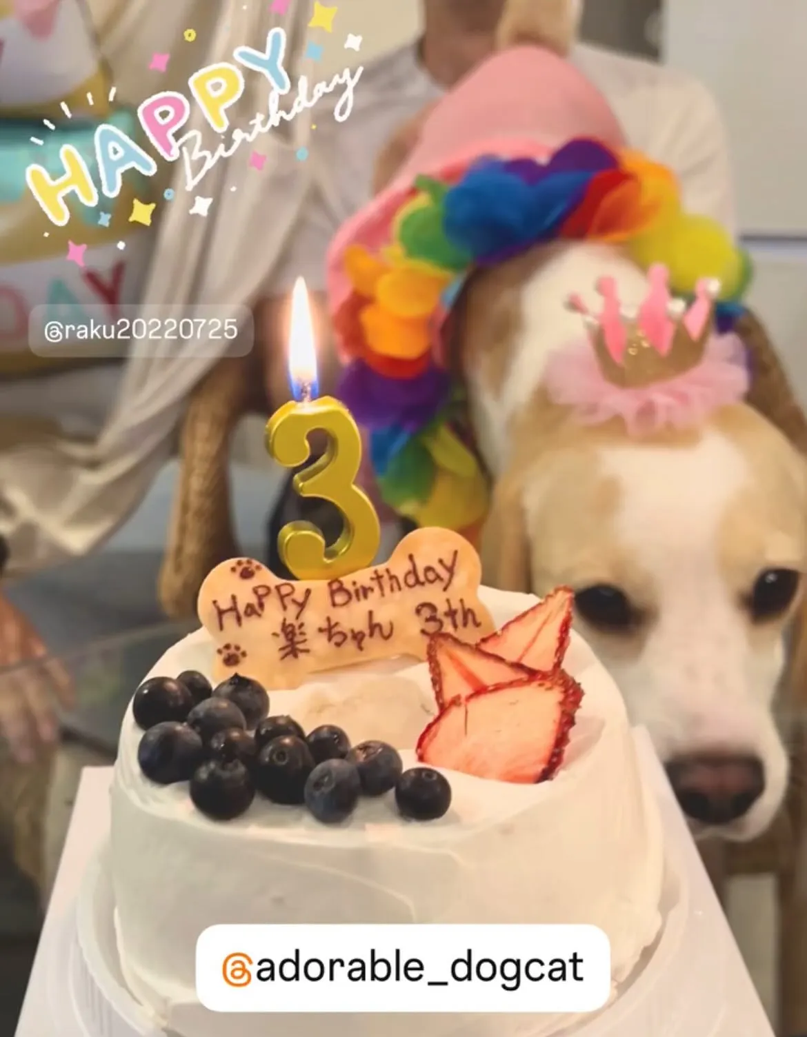 ✨シフォンケーキでおたんじょうび🎈🎂🎈