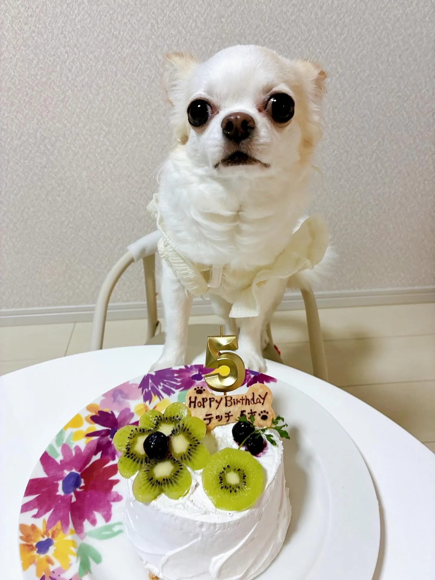 🎂✨happy birthday 5th✨🎂