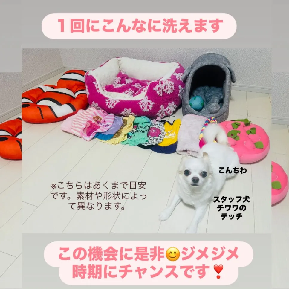 🧺ランドリーキャンペーン✨✨