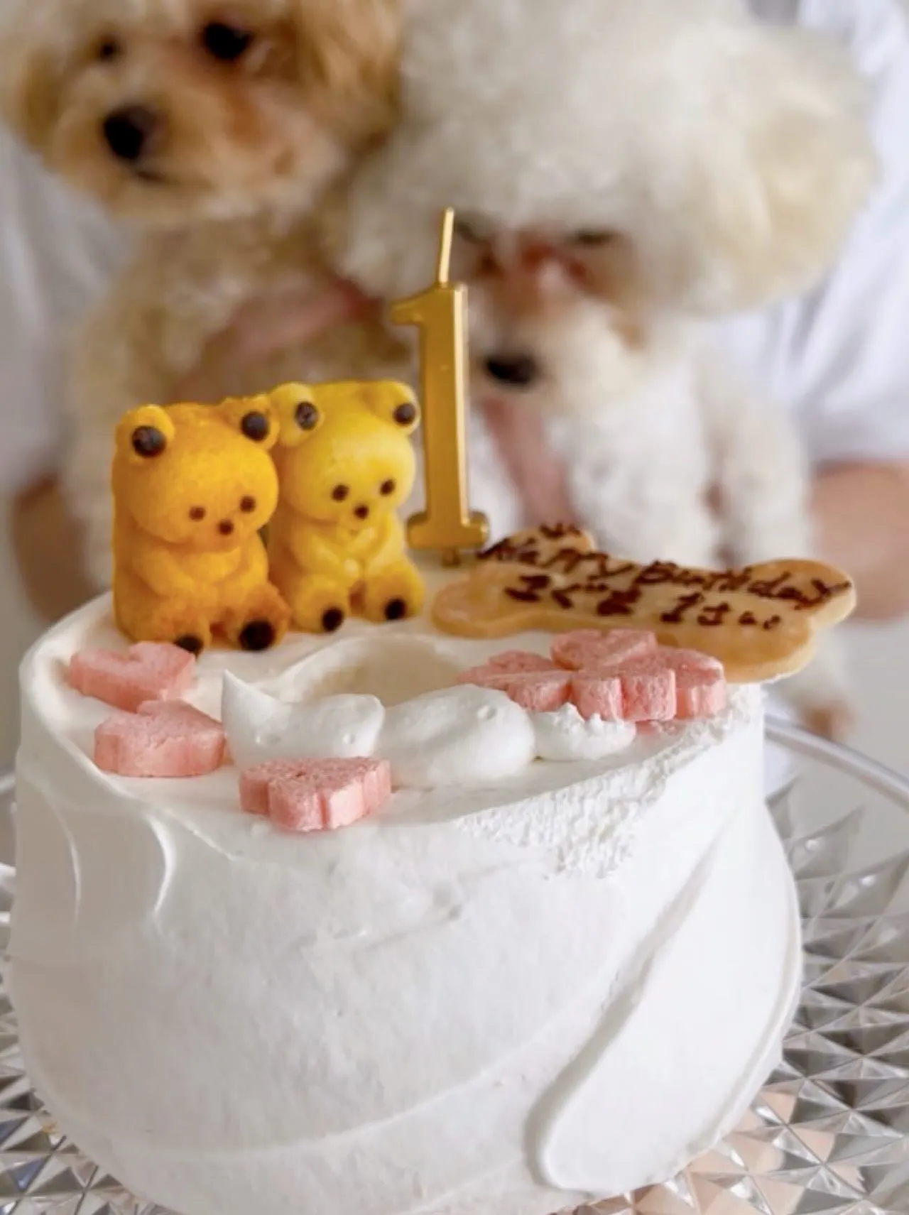 ✨🎂First birthday🎂✨