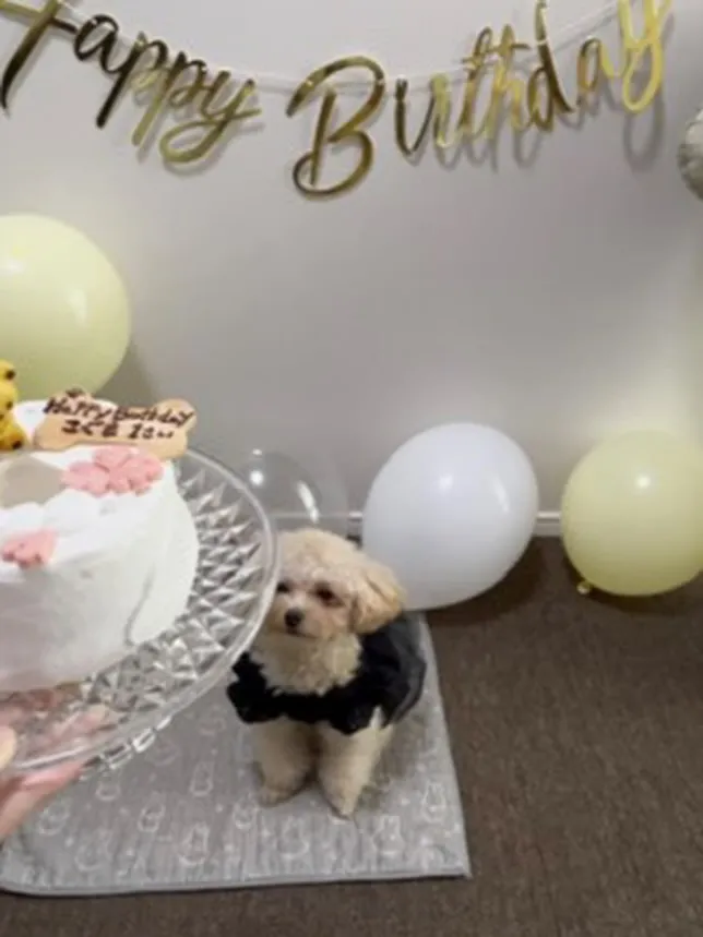 ✨🎂First birthday🎂✨