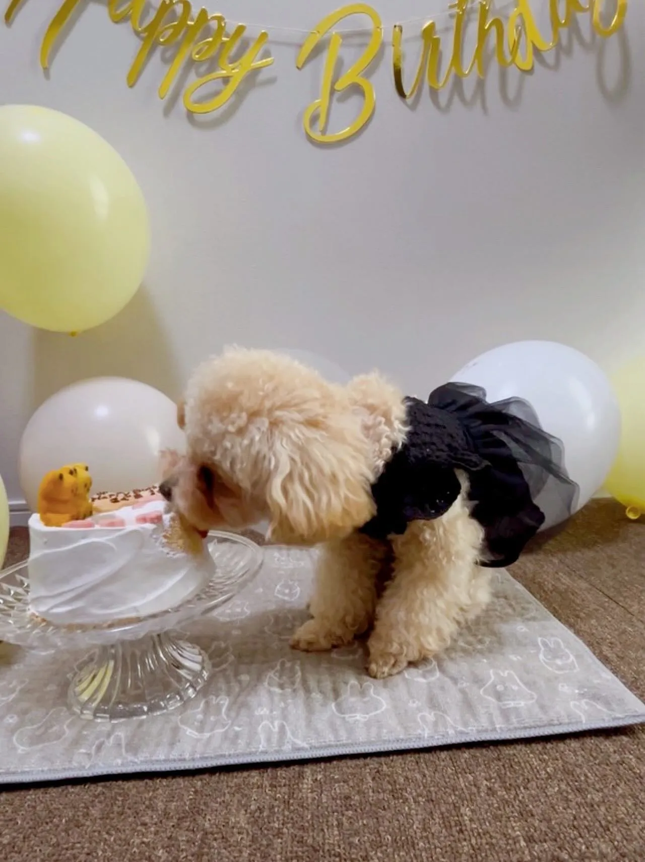 ✨🎂First birthday🎂✨