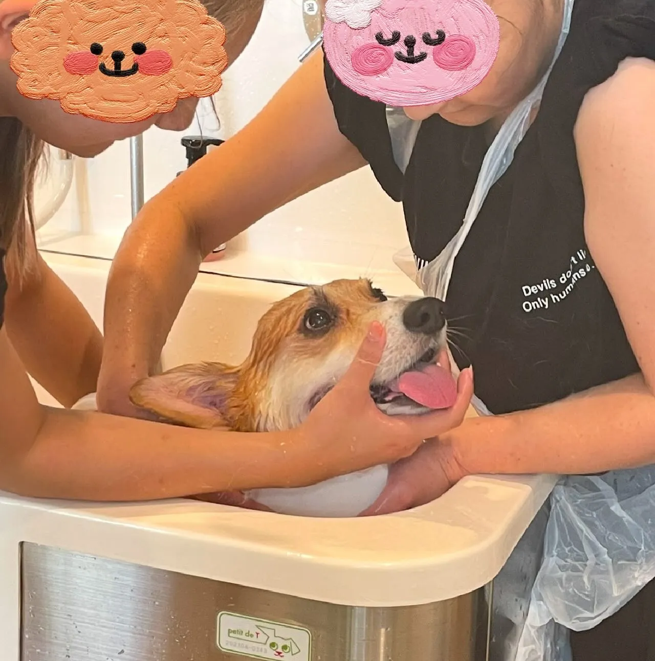 🫧9月はSELF WASHキャンペーン🫧