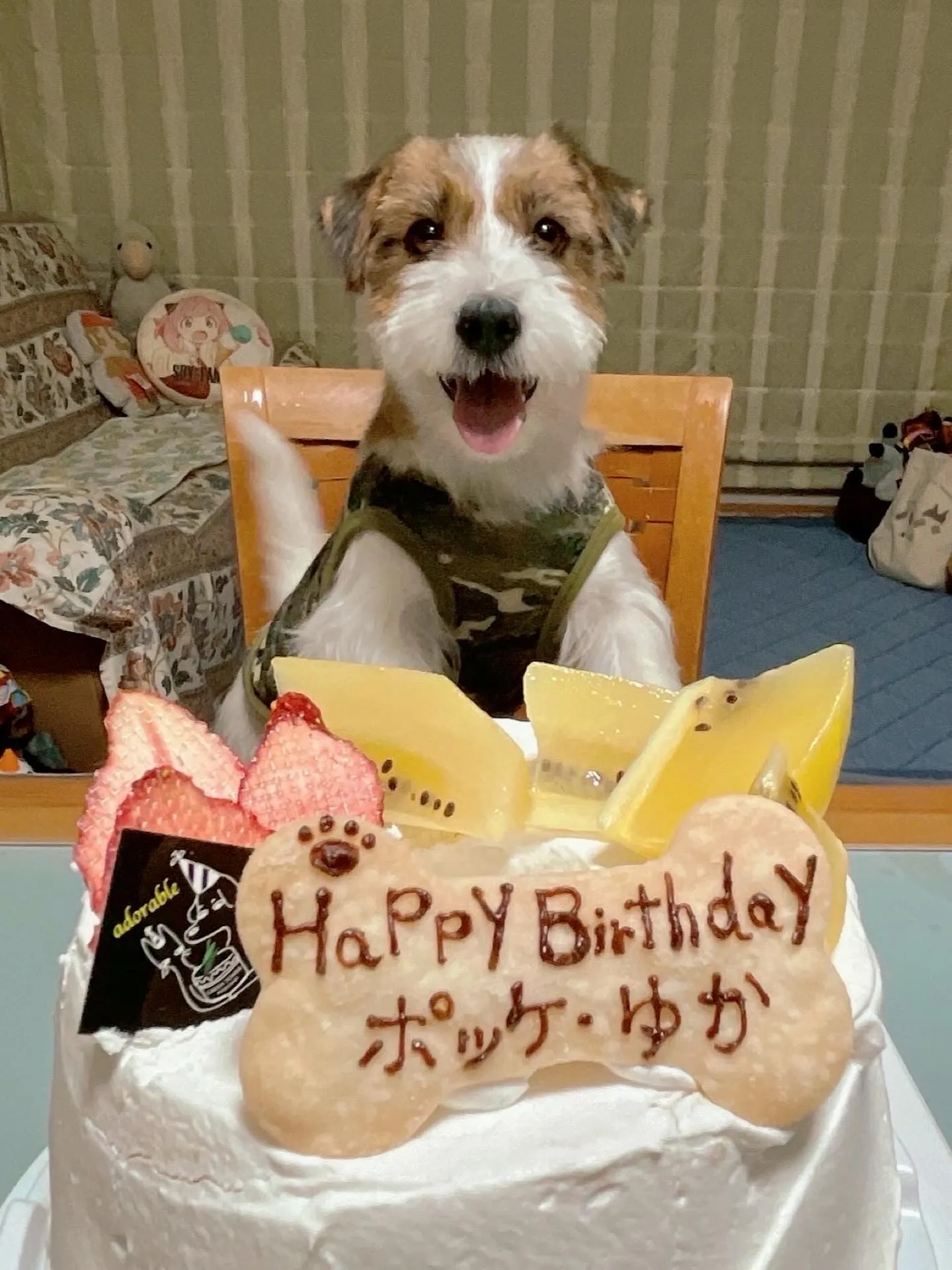 ✨ヒトとワンコとシェアするケーキで祝い✨