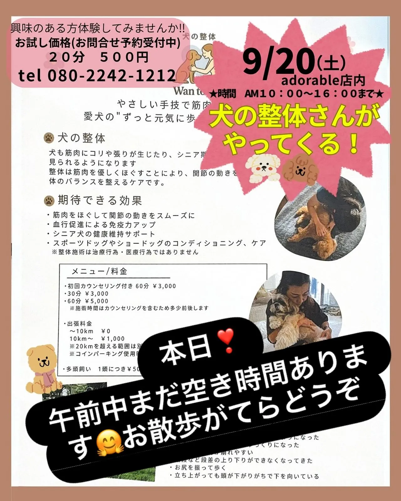 🐶ワンコの整体体験会❣️