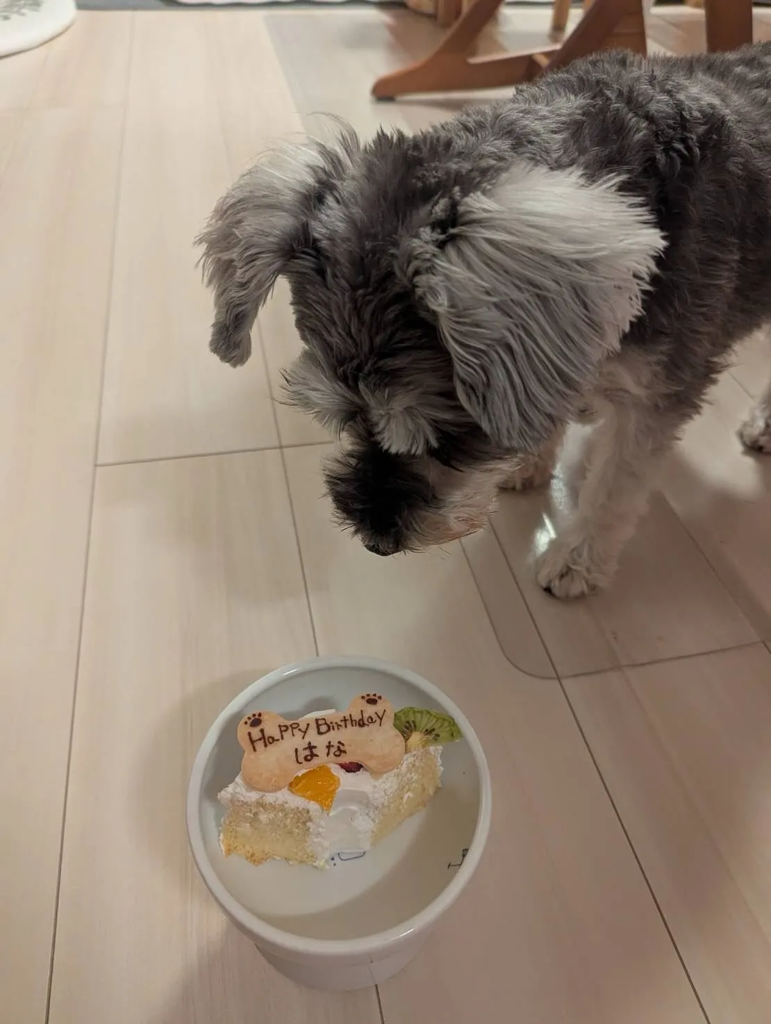 ✨家族みんなでシェアするシフォンケーキでお祝い🥂