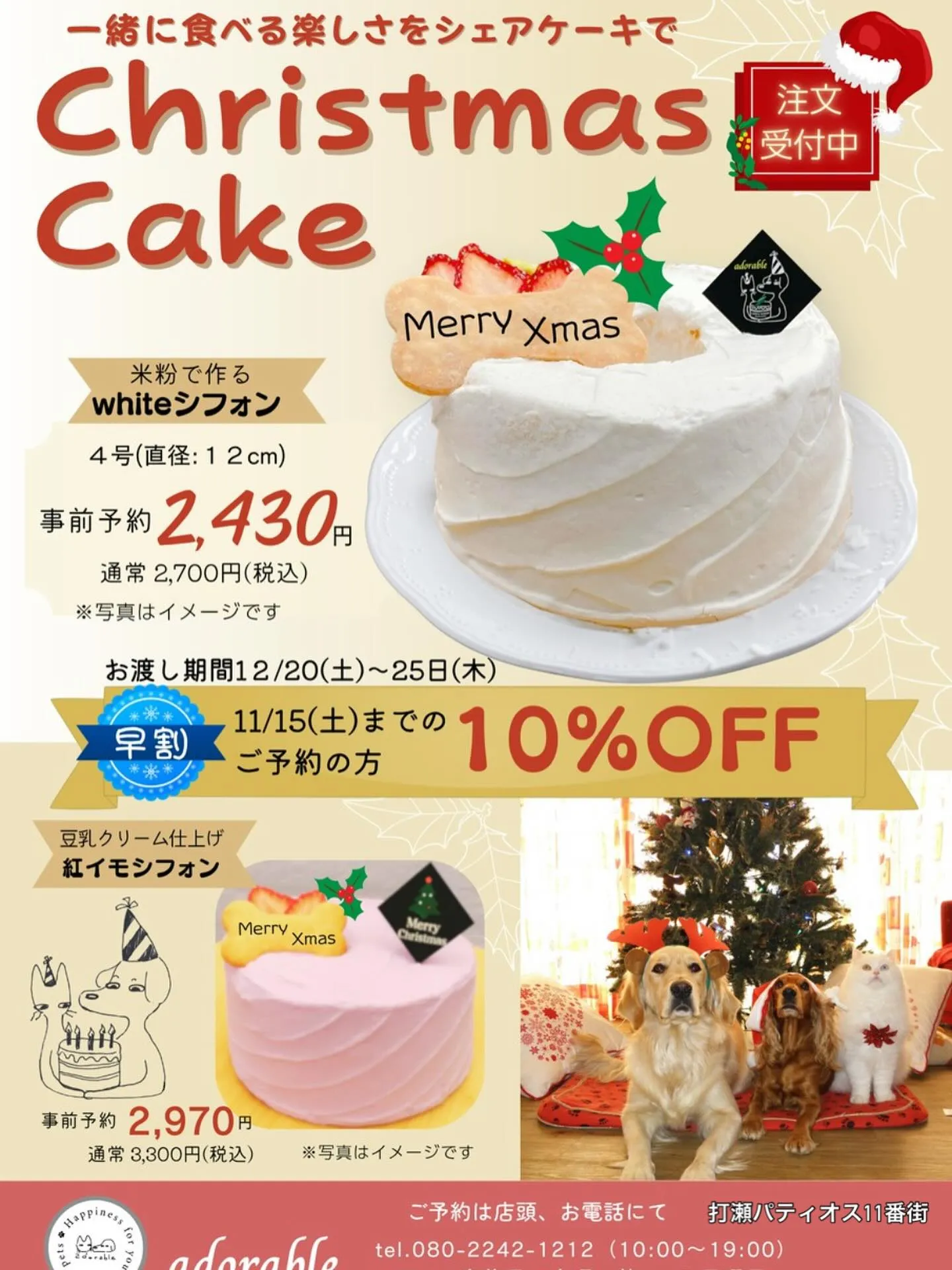 🎄クリスマスケーキ早割🎂✨