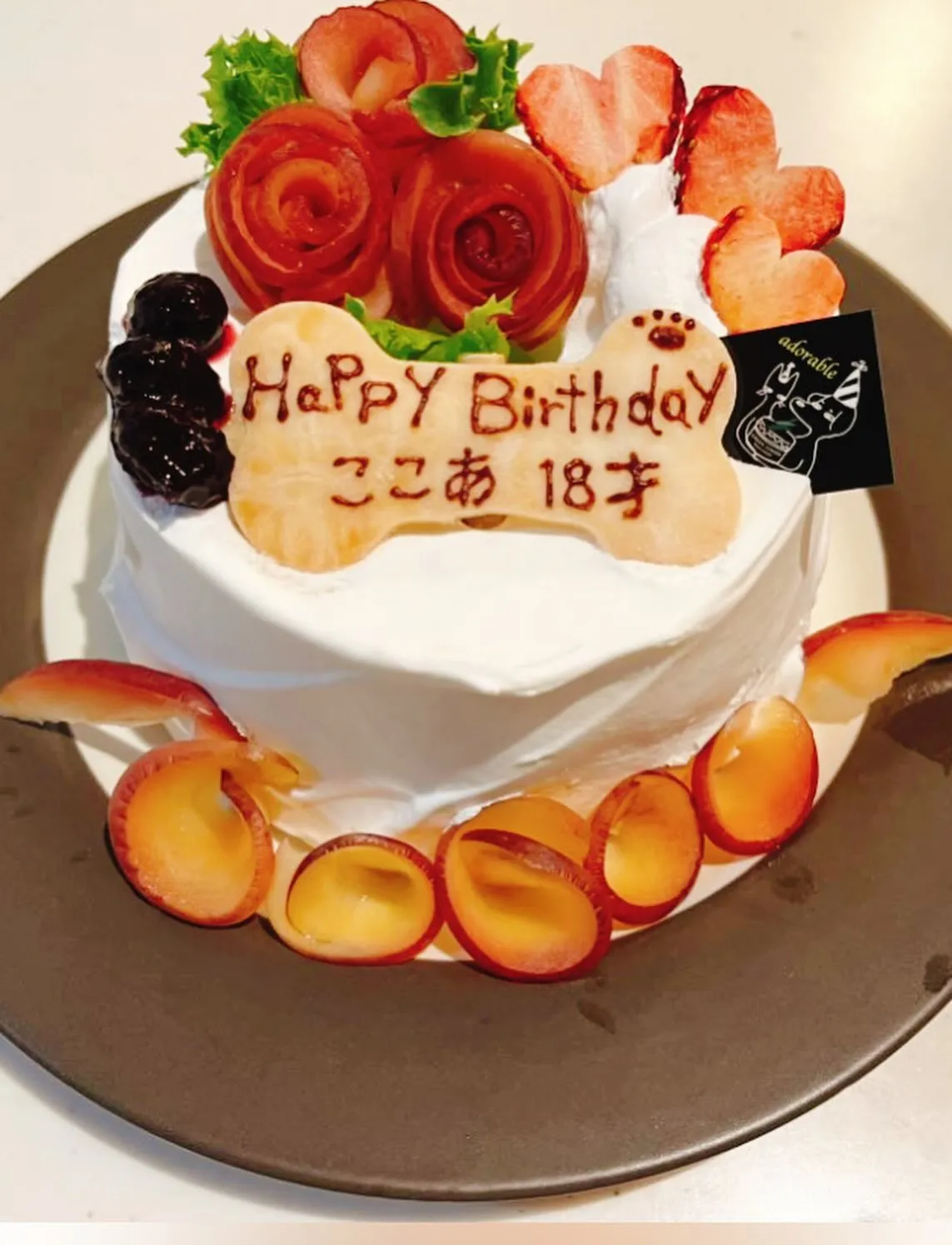 🎂ヒトとワンコとニャンコとシェアするケーキでお祝い✨