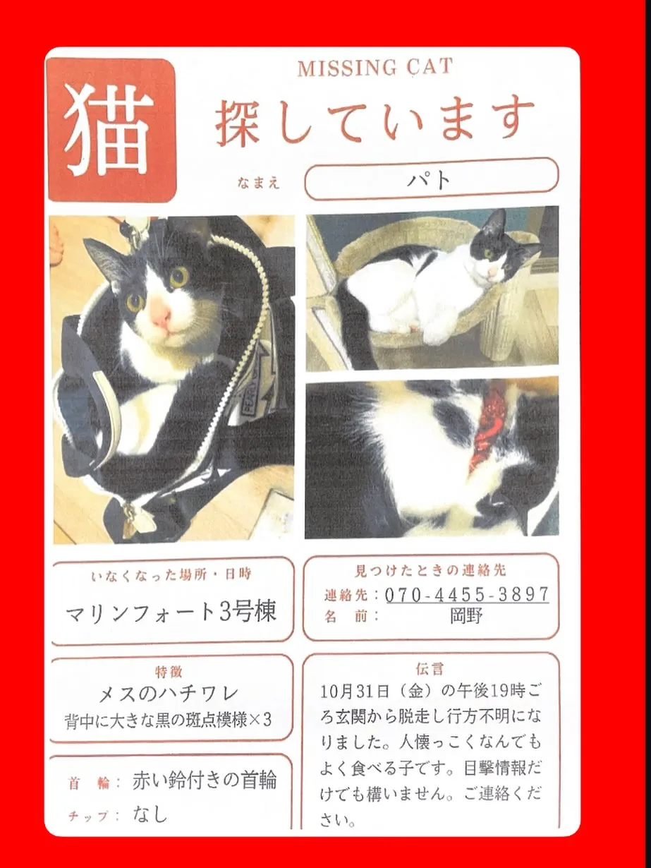 🆘探しています🆘