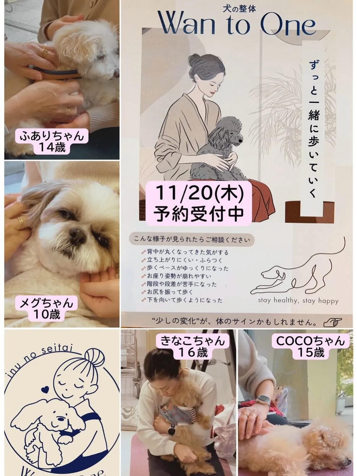 🐶犬の整体さん予約受付中11/20(木)　