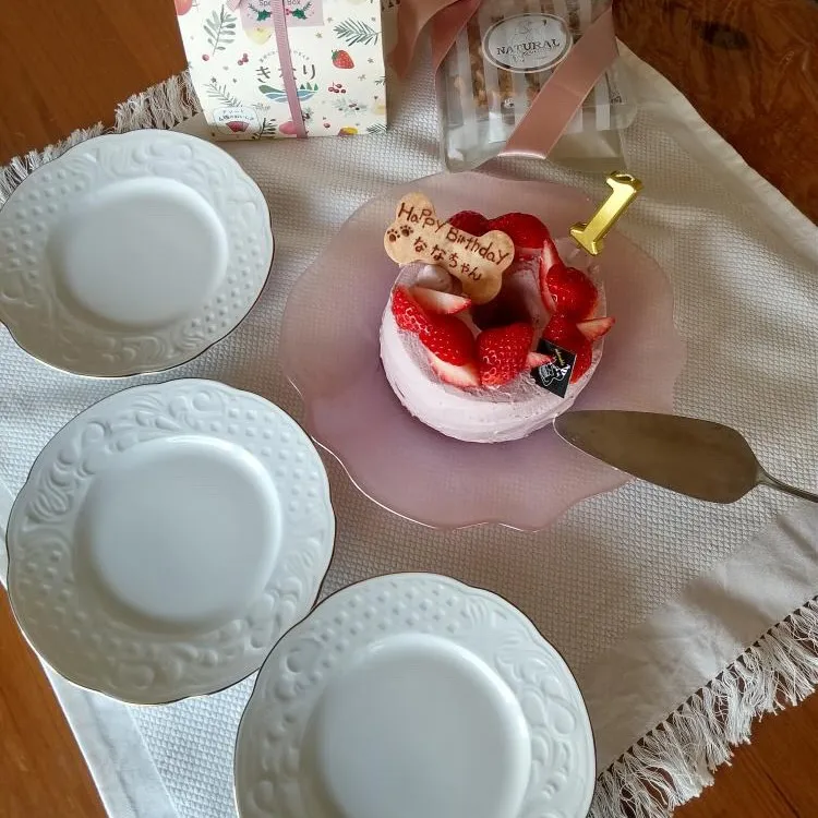 ✨ヒトとワンコとニャンコとシェアするケーキでお祝い✨