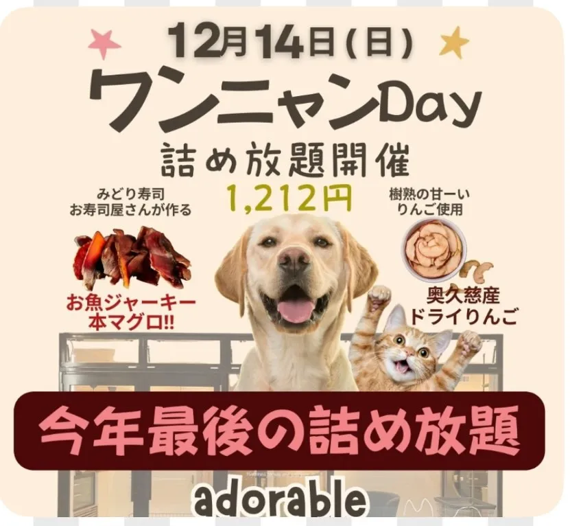 🐶😺わんにゃんDAY開催のお知らせ🎄