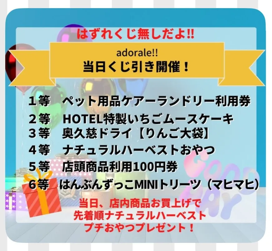 🐶😺わんにゃんDAY開催のお知らせ🎄