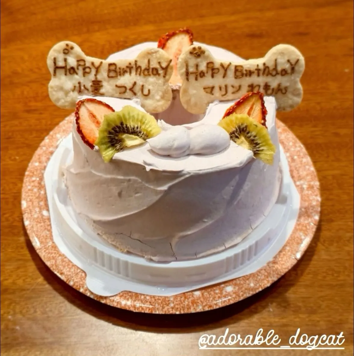 ✨ヒトとワンコとニャンコとシェアするケーキでお祝い✨
