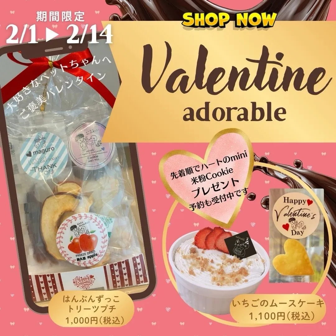 💖バレンタイン限定パッケージ💖
