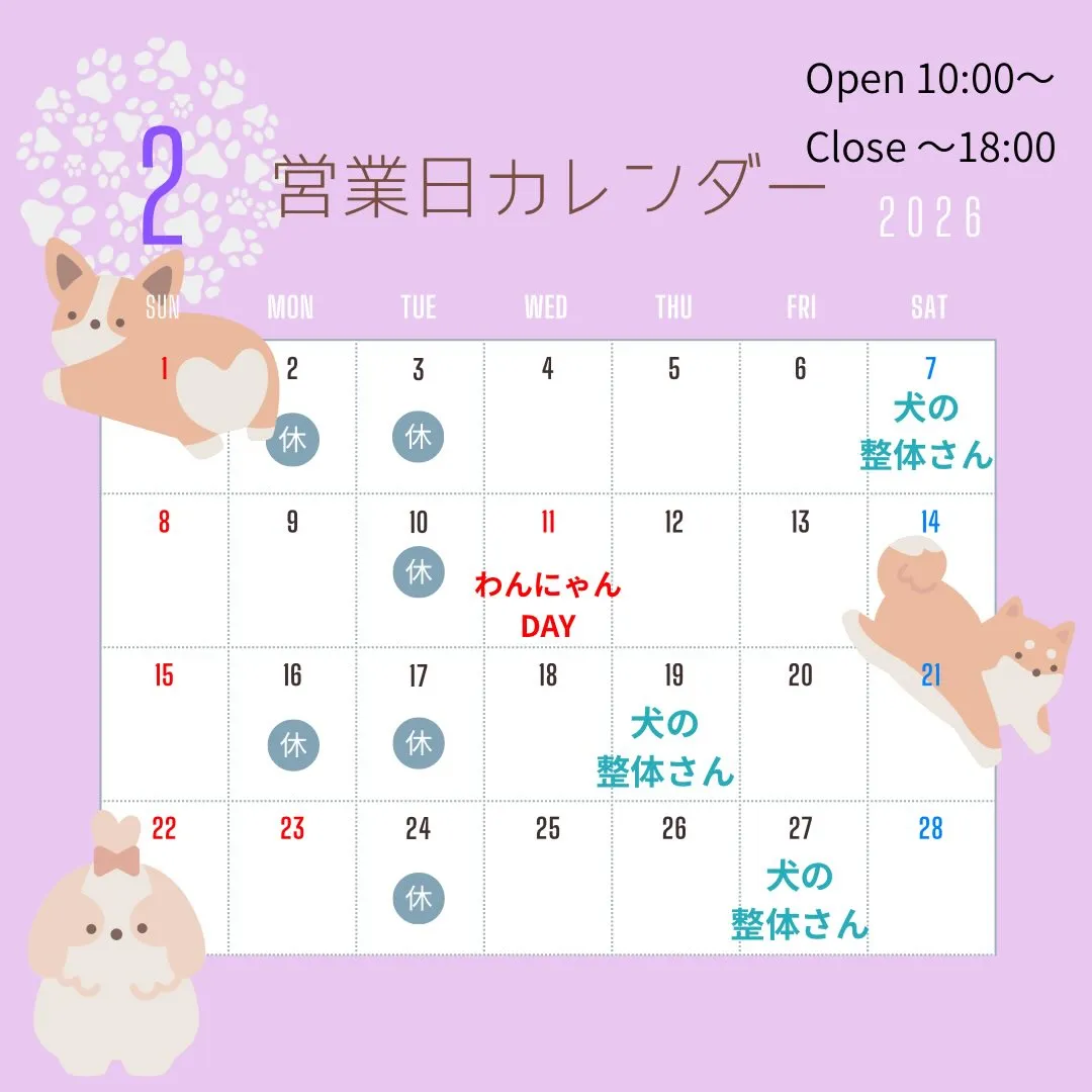 🗓️2月の営業日カレンダー🗓️