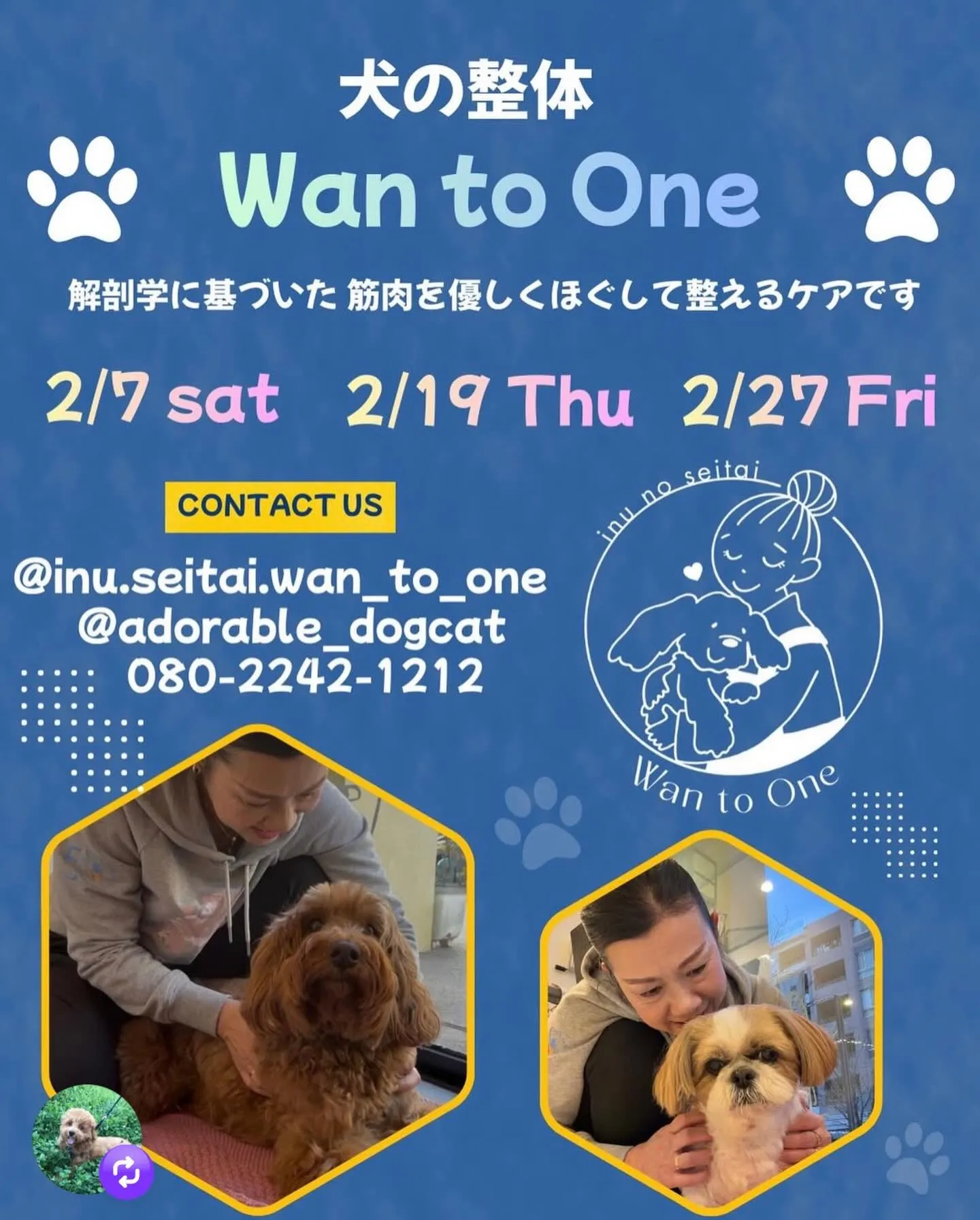 🐶整体施術会🐶