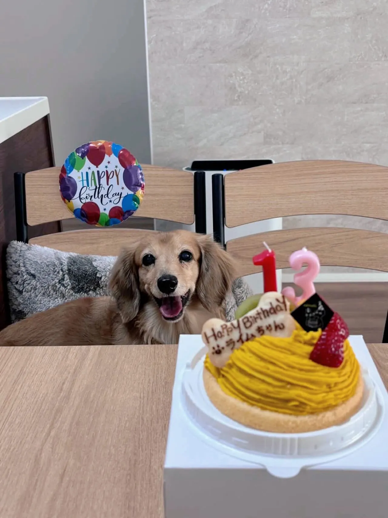 ✨ヒトとワンコとニャンコとシェアするケーキでお祝い✨