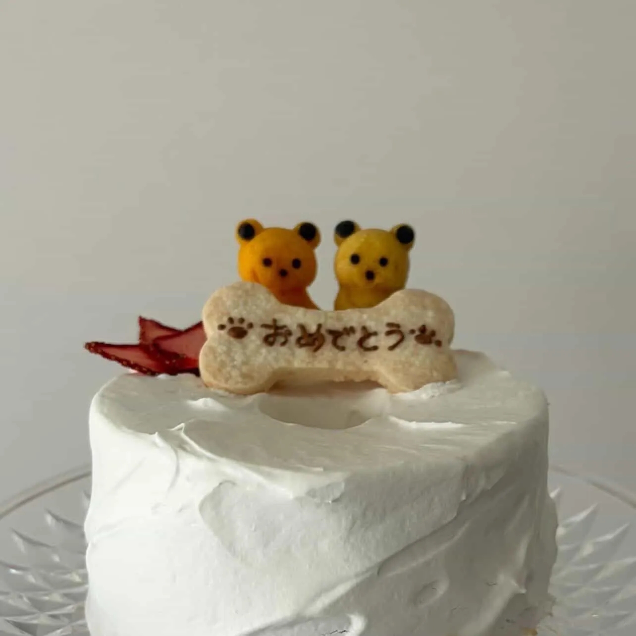 ✨ヒトとワンコとニャンコとシェアするケーキでお祝い✨