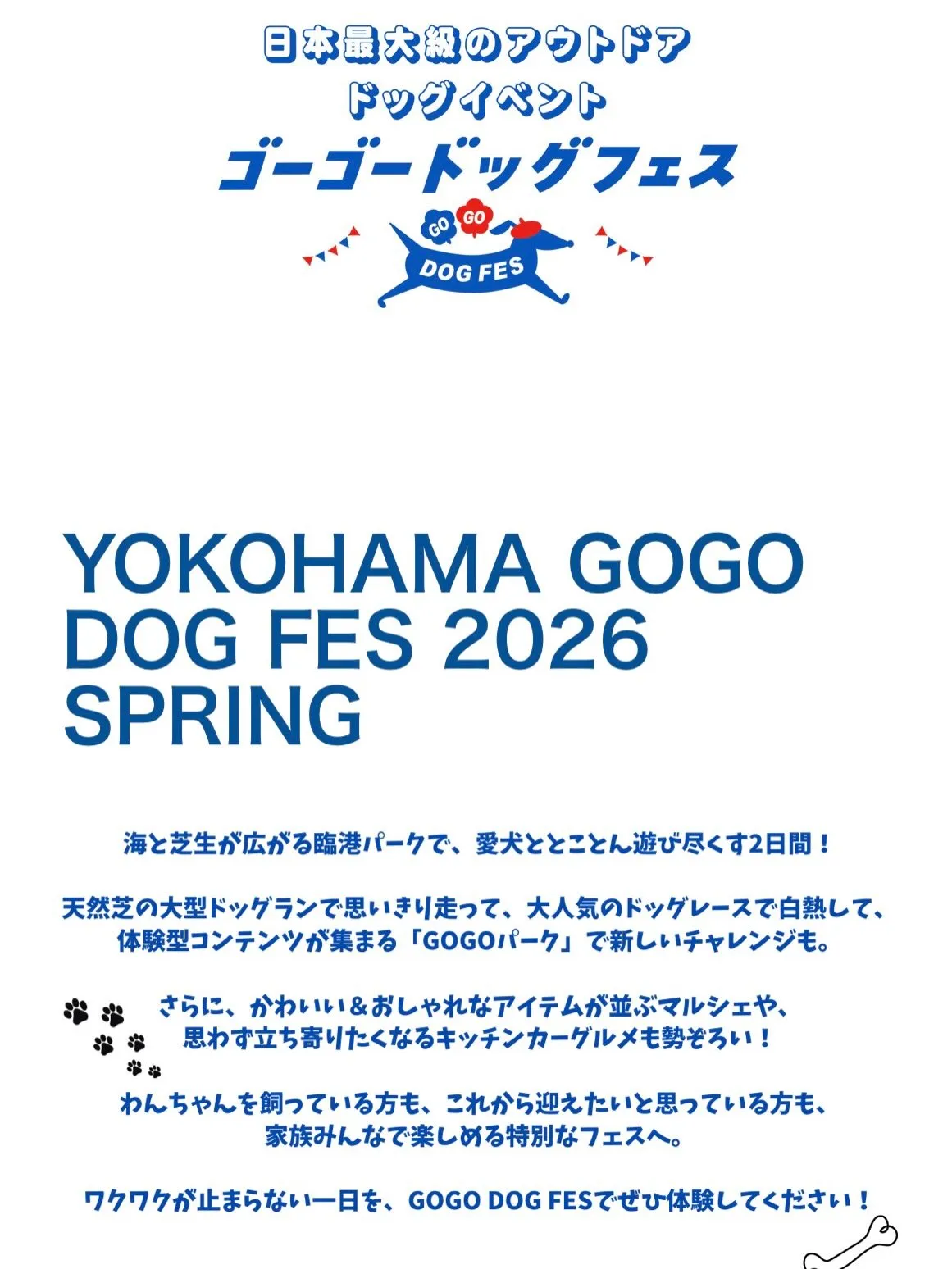 横浜のワンコフェスにて