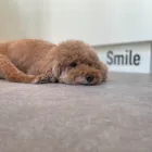 コンセプト