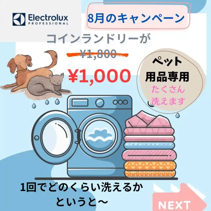 🧺ランドリーキャンペーン✨✨