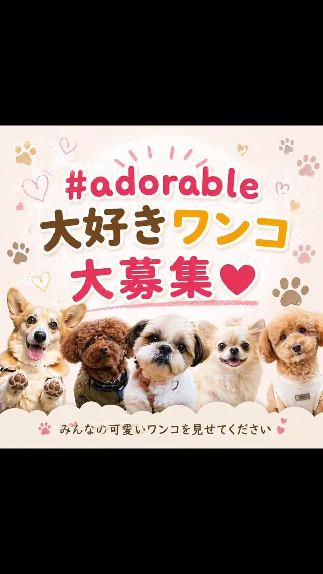 #adorable大好きワンコ大募集😍